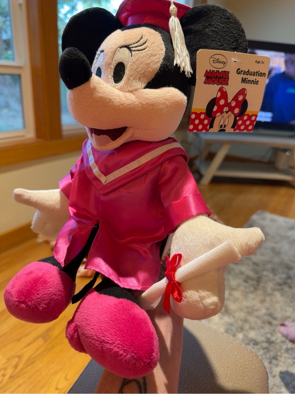*NWT* Disney Minnie Mouse Hot Pink Graduation Plush